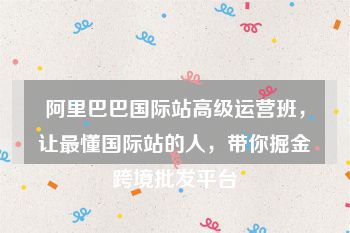 阿里巴巴国际站高级运营班，让最懂国际站的人，带你掘金跨境批发平台