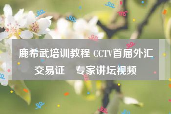 鹿希武培训教程 CCTV首届外汇交易证劵专家讲坛视频