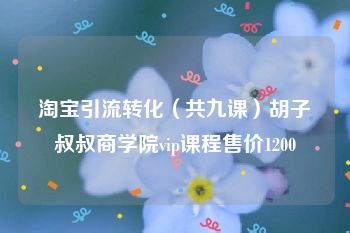 淘宝引流转化（共九课）胡子叔叔商学院vip课程售价1200