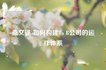 桑文锋-如何构建To B公司的运作体系