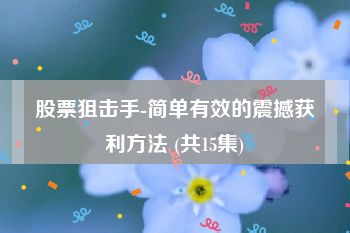 股票狙击手-简单有效的震撼获利方法 (共15集)