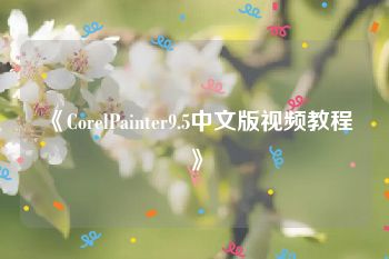 《CorelPainter9.5中文版视频教程》