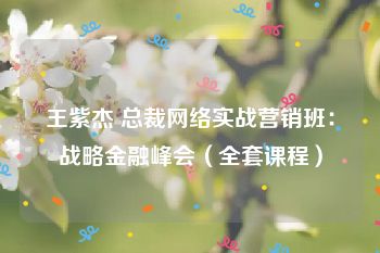 王紫杰 总裁网络实战营销班：战略金融峰会（全套课程）