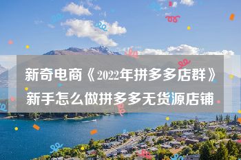 新奇电商《2022年拼多多店群》新手怎么做拼多多无货源店铺