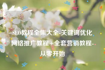 SEO教程全集大全-关键词优化网络推广教程+全套营销教程-从零开始