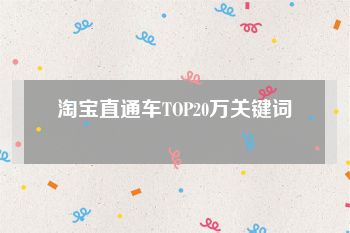 淘宝直通车TOP20万关键词