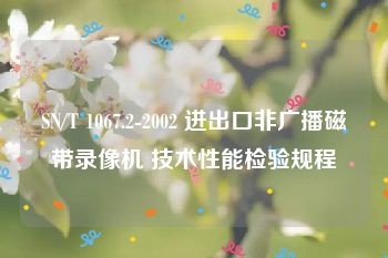 SN/T 1067.2-2002 进出口非广播磁带录像机 技术性能检验规程