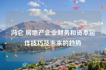 冯仑 房地产企业财务和资本运作技巧及未来的趋势