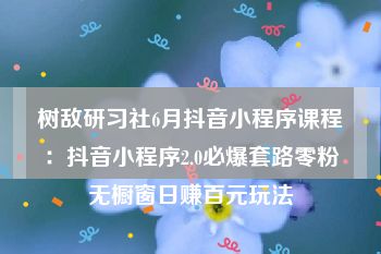 树敌研习社6月抖音小程序课程：抖音小程序2.0必爆套路零粉无橱窗日赚百元玩法