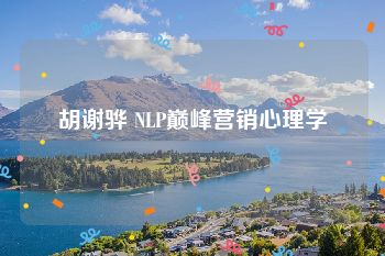 胡谢骅 NLP巅峰营销心理学