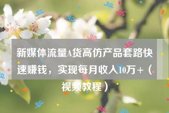 新媒体流量A货高仿产品套路快速赚钱，实现每月收入10万+（视频教程）