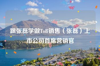 跟张磊学做ToB销售（张磊）上市公司首席营销官