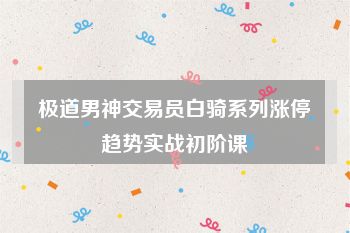 极道男神交易员白骑系列涨停趋势实战初阶课