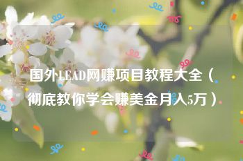 国外LEAD网赚项目教程大全（彻底教你学会赚美金月入5万）