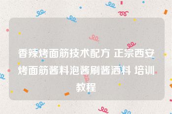 香辣烤面筋技术配方 正宗西安烤面筋酱料泡酱刷酱洒料 培训教程