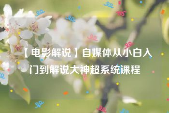 【电影解说】自媒体从小白入门到解说大神超系统课程