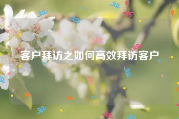 客户拜访之如何高效拜访客户