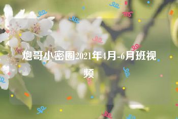 炮哥小密圈2021年4月-6月班视频