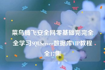 菜鸟腾飞安全网零基础完完全全学习SQLServer数据库VIP教程全17集