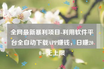 全网最新暴利项目-利用软件平台全自动下载APP赚钱，日赚200+无上限