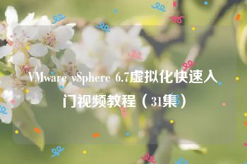 VMware vSphere 6.7虚拟化快速入门视频教程（31集）