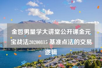 金哲男量学大讲堂公开课金元宝战法20200815 基准点法的交易逻辑