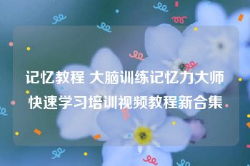 记忆教程 大脑训练记忆力大师快速学习培训视频教程新合集