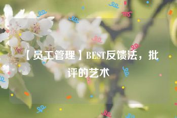 【员工管理】BEST反馈法，批评的艺术