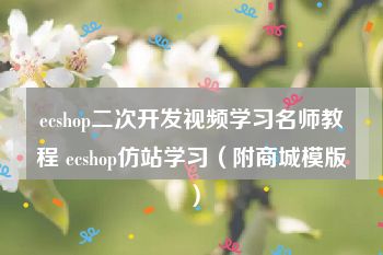 ecshop二次开发视频学习名师教程 ecshop仿站学习（附商城模版）