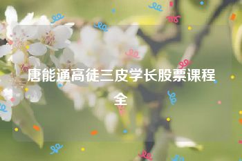 唐能通高徒三皮学长股票课程全