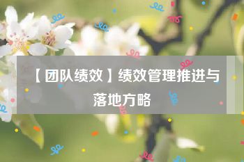 【团队绩效】绩效管理推进与落地方略