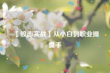 【股市实战】从小白到职业操盘手