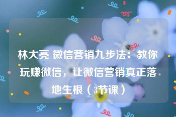 林大亮 微信营销九步法：教你玩赚微信，让微信营销真正落地生根（3节课）