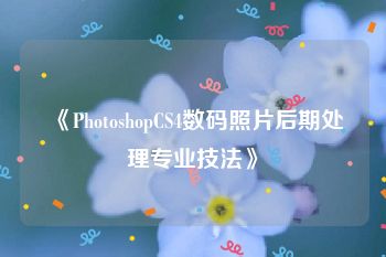 《PhotoshopCS4数码照片后期处理专业技法》