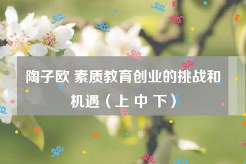 陶子欧 素质教育创业的挑战和机遇（上 中 下）