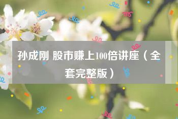 孙成刚 股市赚上100倍讲座（全套完整版）