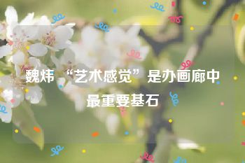 魏炜 “艺术感觉”是办画廊中最重要基石