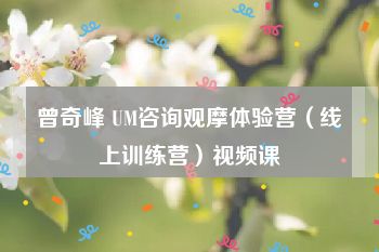 曾奇峰 UM咨询观摩体验营（线上训练营）视频课