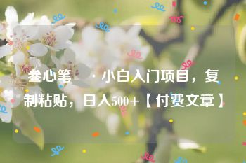 叁心笔記·小白入门项目，复制粘贴，日入500+【付费文章】