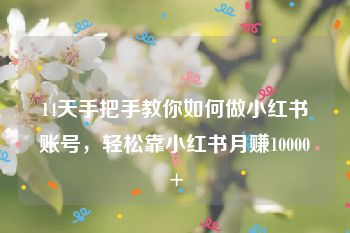 14天手把手教你如何做小红书账号，轻松靠小红书月赚10000+