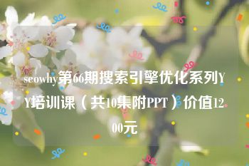 seowhy第66期搜索引擎优化系列YY培训课（共10集附PPT）价值1200元