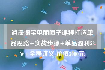 逍遥淘宝电商圈子课程打造单品思路+实战步骤+单品盈利58W+全程讲义 价值3000元