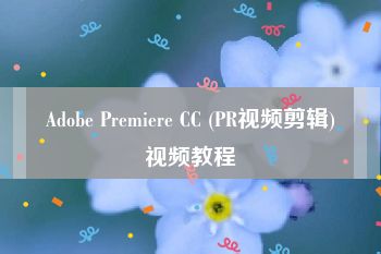 Adobe Premiere CC (PR视频剪辑)视频教程