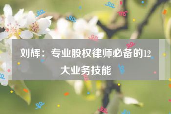 刘辉：专业股权律师必备的12大业务技能