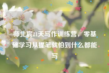 师北宸21天写作训练营，零基础学习从提笔就怕到什么都能写