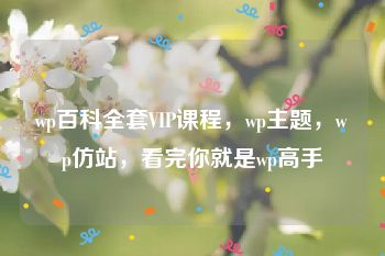 wp百科全套VIP课程，wp主题，wp仿站，看完你就是wp高手