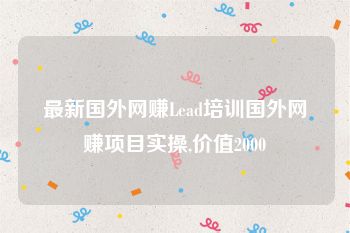最新国外网赚Lead培训国外网赚项目实操,价值2000